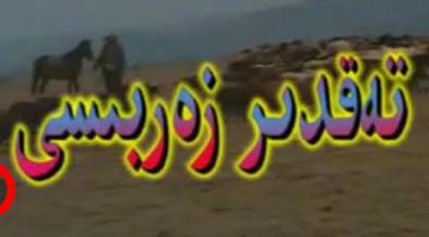 تەقدىر زەربىسى