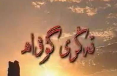 تەڭرى گۇۋاھ