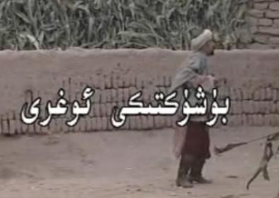 بۈشۈكتىكى ئوغىرى