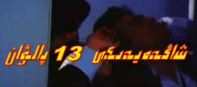 شاڭخەيدىكى 13پالۋان