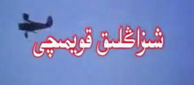 شىزاڭلىق قويمىچى