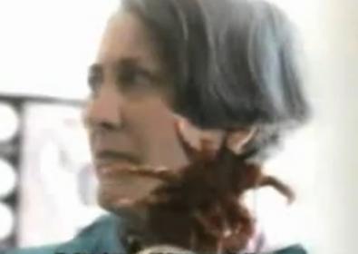 ئورماندىكى گۆشخورلار