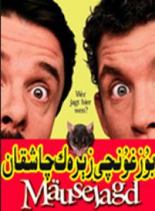 بۇزغۇنچى زېرەك چاشقان 
