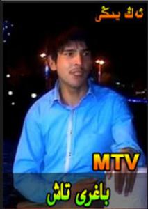 باغرى تاش