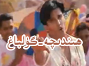 ھىندىچە-گۈلباغ