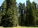 Золотой глобус 6: Национальные парки США (Часть 2) (2007)