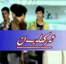 ئەركىلەيسەن