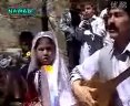 تاجىك ھافىز