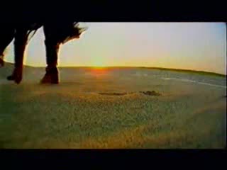 دۇنيا رىشتى
