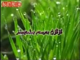 كوڭۇل بەرسەم