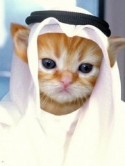 كومىدىيلىك يانغۇن ئىكىران رەسىمىلىرى