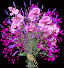 ھەرىكەتچان چىرايلىق گۈللەر