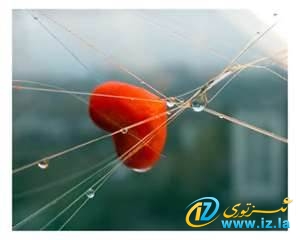 سىزنى دەپ ...