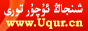 ئۇچۇر تورى