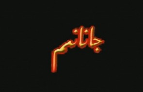 جانانىم 