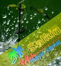 salkin11