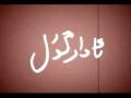ئادارگۈل