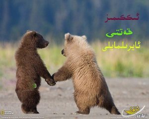 تەۋىسيە