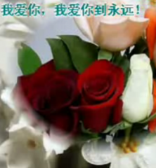 /uploads/userup/17192/12S13DH-5493.png