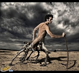 ئاتىلار