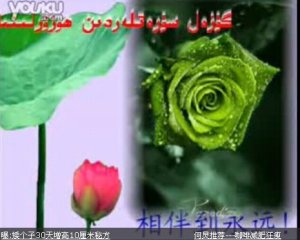 /uploads/userup/23776/1292361c7-C93.jpg