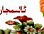 /uploads/userup/27196/12b3914X-62T.jpg
