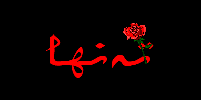 چىن مۇھەببەت