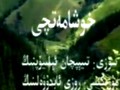 ئىلى دەريا بويلىرى 