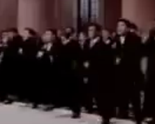 قىزىل يۇپۇرماق