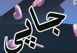 ئۇچقۇر جاپى