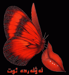 بوزتورغاي