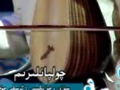 چولپانلىرىم 