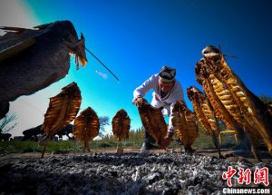 ئۇيغۇرلارنىڭ ئەنئەنىۋى بېلىق كاۋىپى