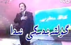 گۈلشەندىكى نىدا