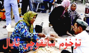 تۇخۇم ساتقۇچى ئايال ( ھىكايە )