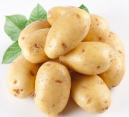 ياڭيۇ بوۋاسىرغا داۋا بولىدۇ