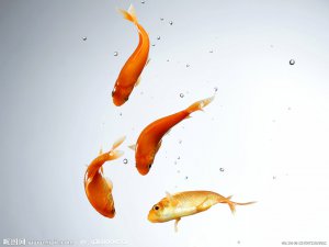 خۇشال تۇرمۇشىنىڭ كىچىك سىردىشى