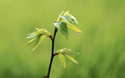 رەسىم 140M2O12-33D.jpg