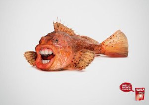 ھايۋاناتلار غەلىتە رەسىملىرى