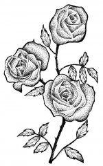 سىزما رەسىملەر