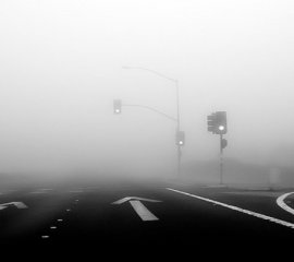 مەن ياقتۇردىغان رەسىملەر