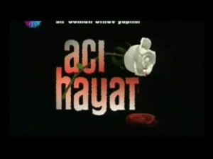 ئاچچىق ھايات 19