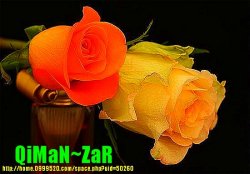 qimanzar