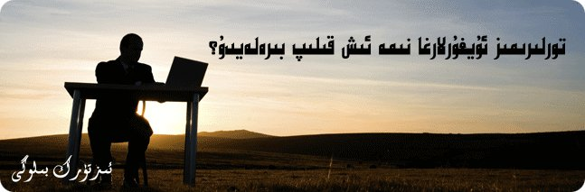 تورلىرىمىز ئۇيغۇرغا نېمە ئىش قىلىپ بېرەلەيدۇ؟