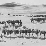 Winding our way between the high sand-dunes of Alakshan