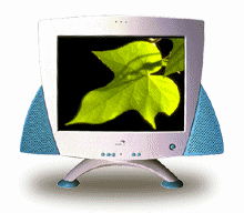 ADI Duo II-1.gif (13570 �ֽ�)