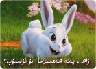 ھەقسىز ئۇسلۇب-WPINK