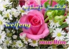 ھەقسىز ئۇسلۇب---weifeng