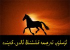 ئۇسلۇب تەرجىمە قىلىشنىڭ ئالدى-كەينىدە