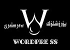 wordpress يۈرۈشلۈك دەرسلىكلىرى